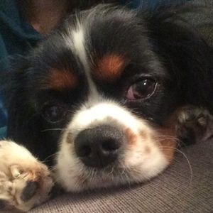 Meet your Posher, Irene